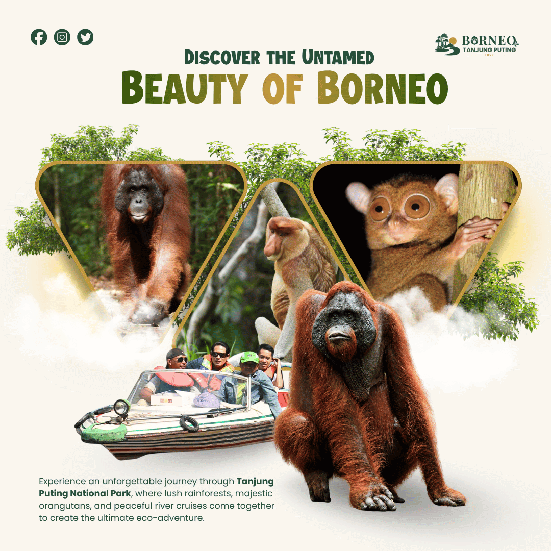 Guest testimonial, Borneo Tanjung Puting Tour